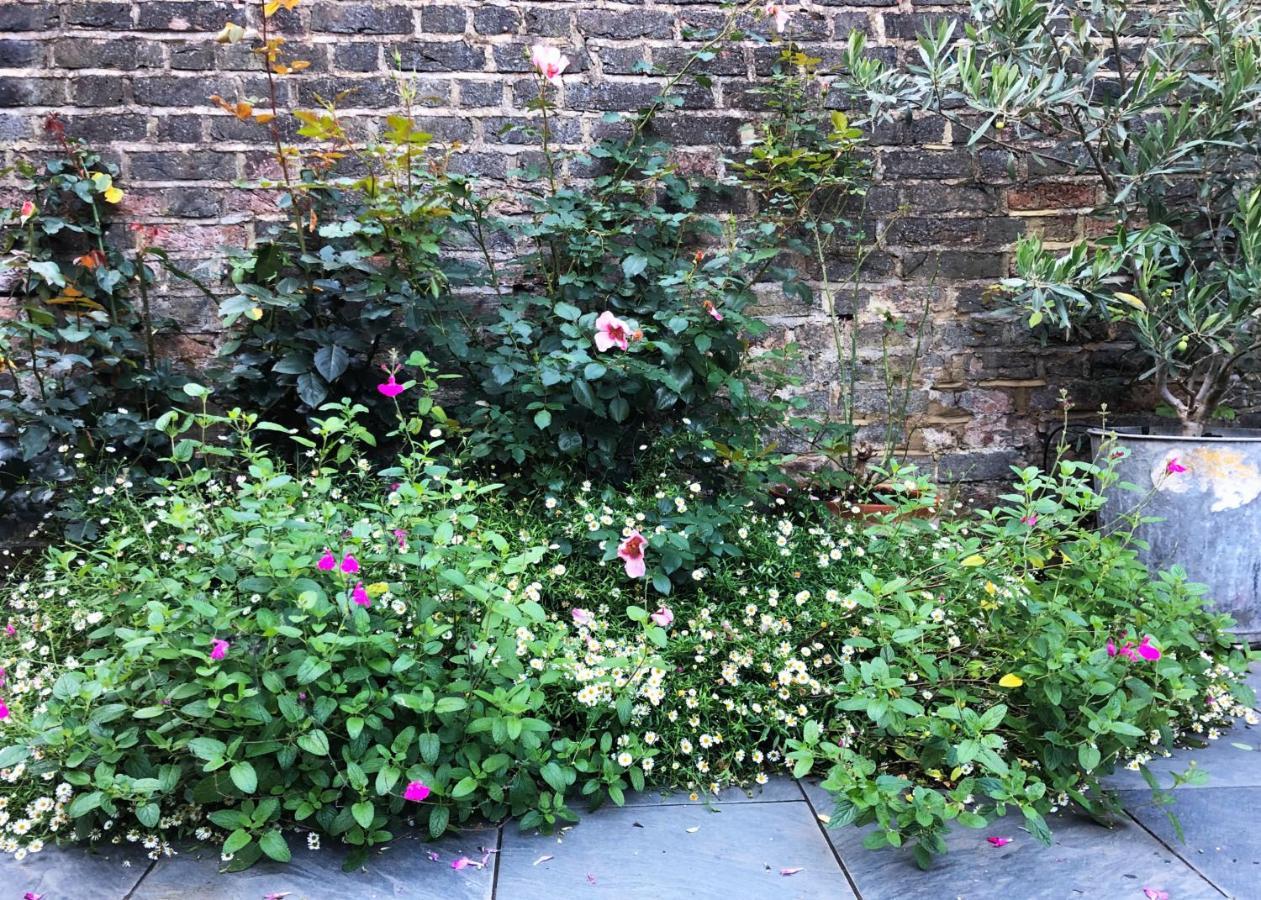 Bright And Elegant 2 Bedroom Flat, Near Notting Hill ロンドン エクステリア 写真