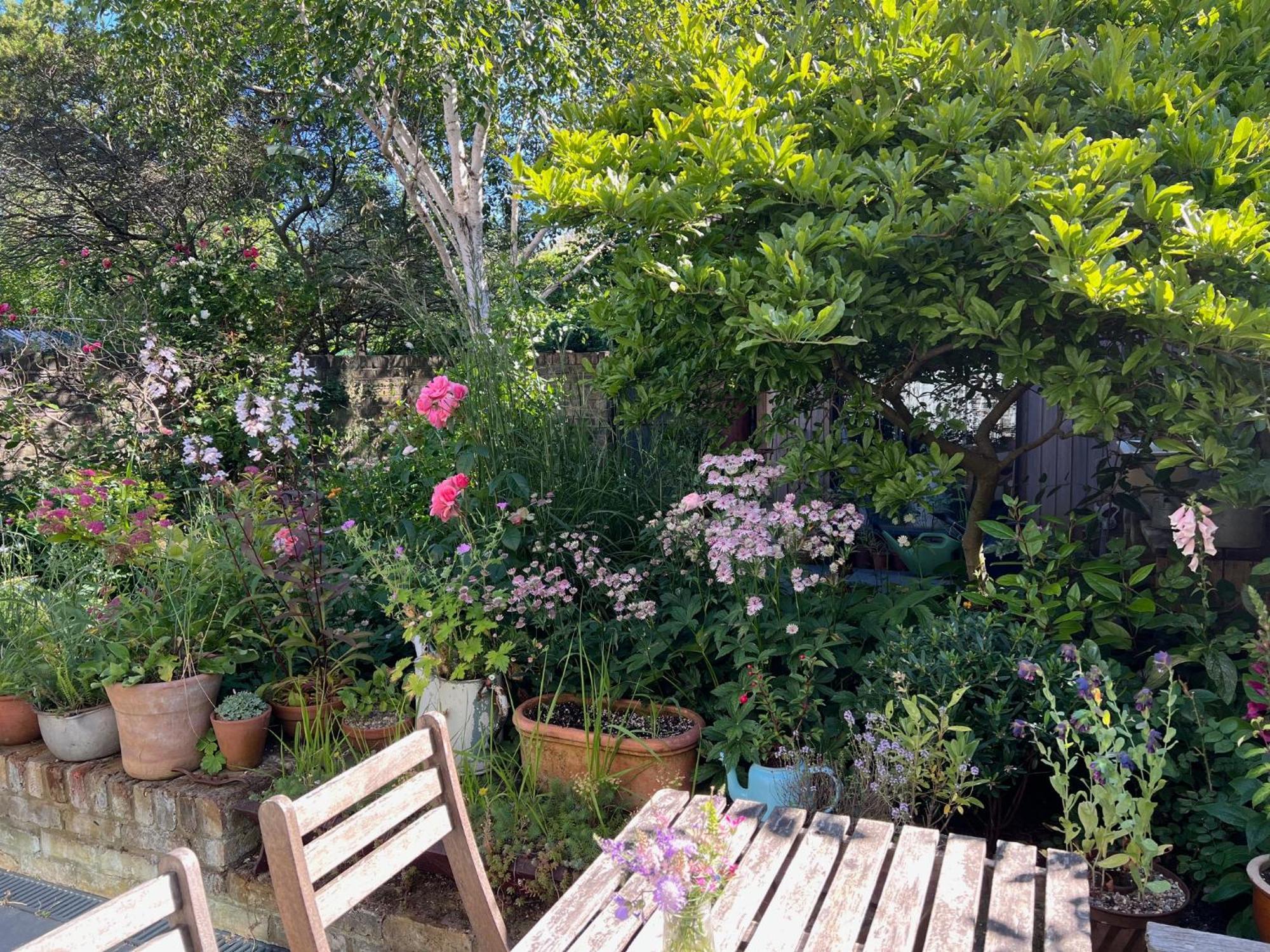 Bright And Elegant 2 Bedroom Flat, Near Notting Hill ロンドン エクステリア 写真
