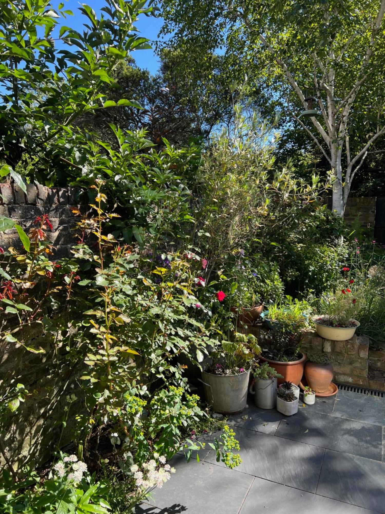 Bright And Elegant 2 Bedroom Flat, Near Notting Hill ロンドン エクステリア 写真
