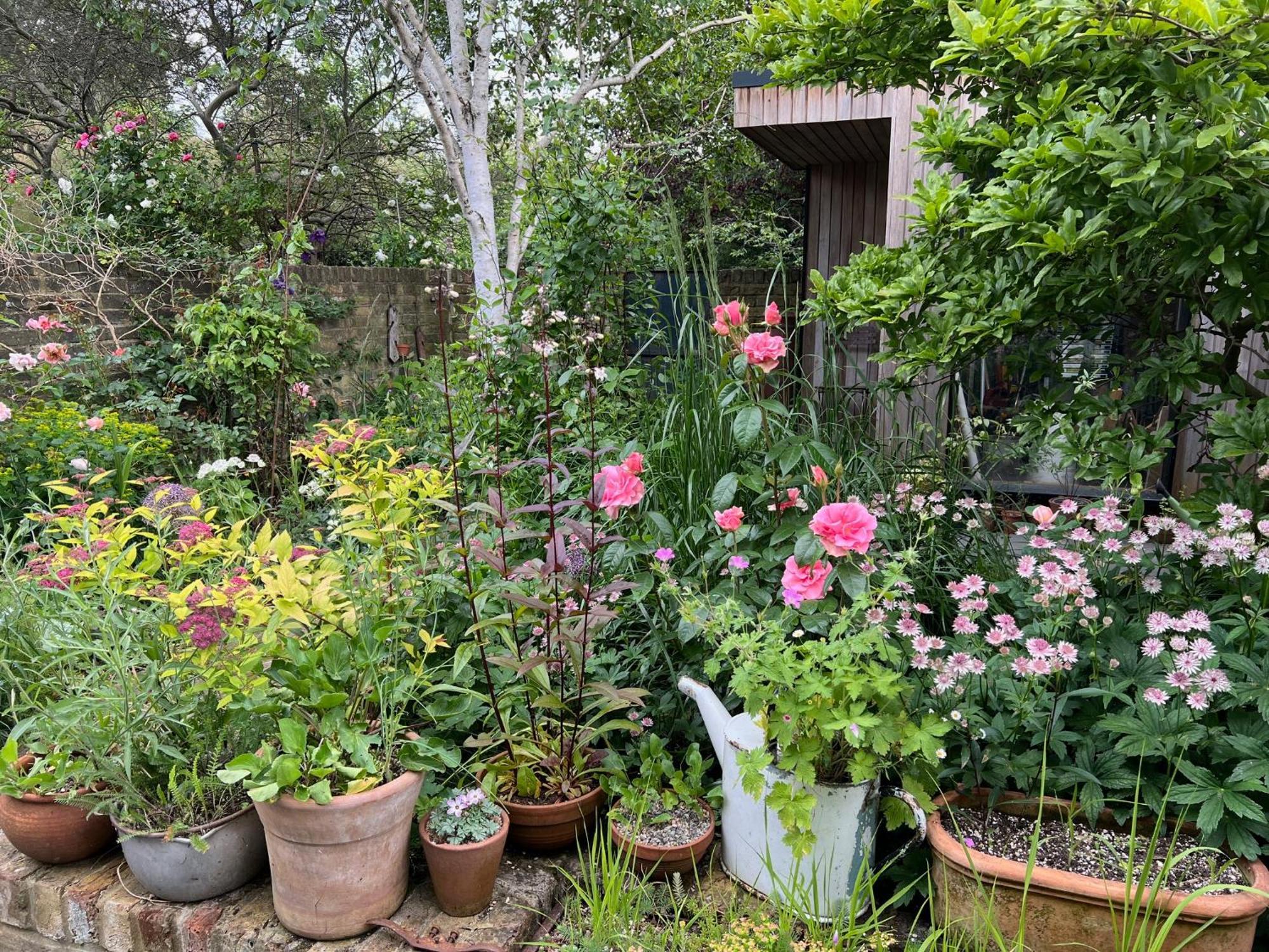 Bright And Elegant 2 Bedroom Flat, Near Notting Hill ロンドン エクステリア 写真
