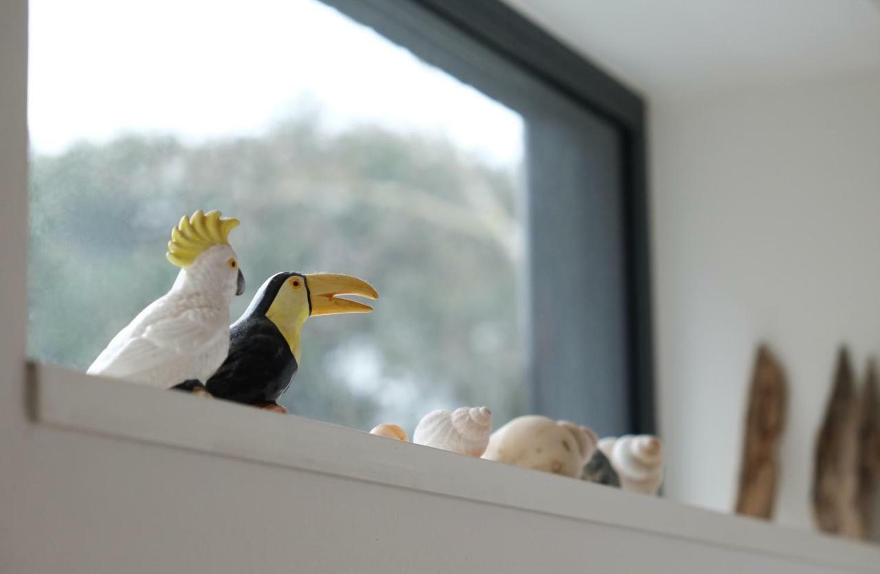 Bright And Elegant 2 Bedroom Flat, Near Notting Hill ロンドン エクステリア 写真